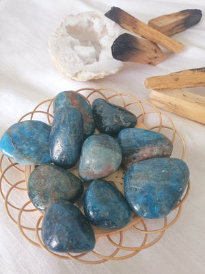 
                
                    Load image into Gallery viewer, Blue Apatite Tumbled Stone | Inspiration • Ambition • Passion
                
            