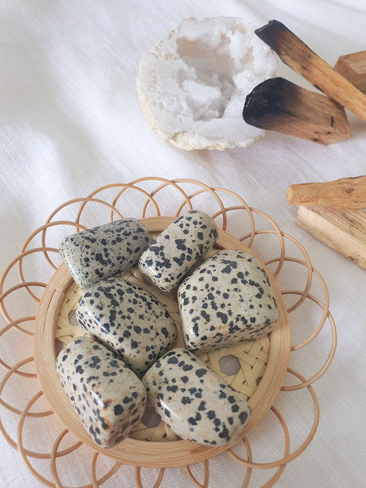 Dalmatian Jasper Tumbled Stone | Happiness • Playfulness • Positivity